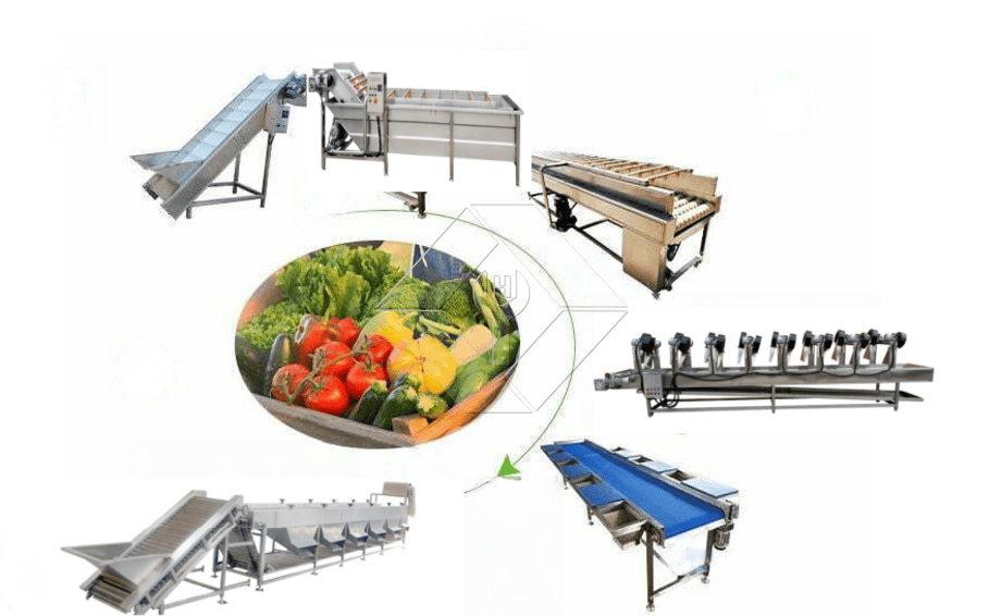 A capacidade de processamento da linha automática de lavagem, secagem e classificação de frutas e vegetais está geralmente entre 300kg/H e 3000kg/H.