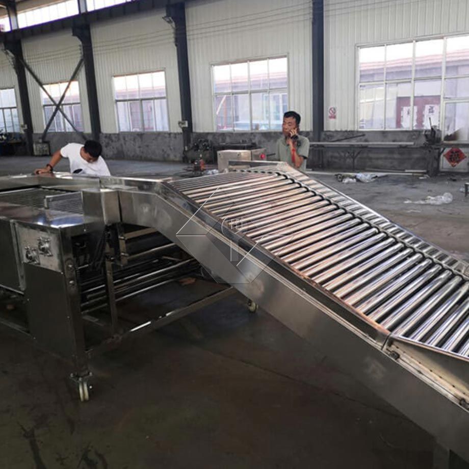 A capacidade de processamento da linha automática de lavagem, secagem e classificação de frutas e vegetais está geralmente entre 300kg/H e 3000kg/H.
