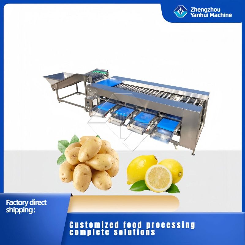 Máquina de classificação de vegetais/frutas Máquina de classificação de vegetais/frutas