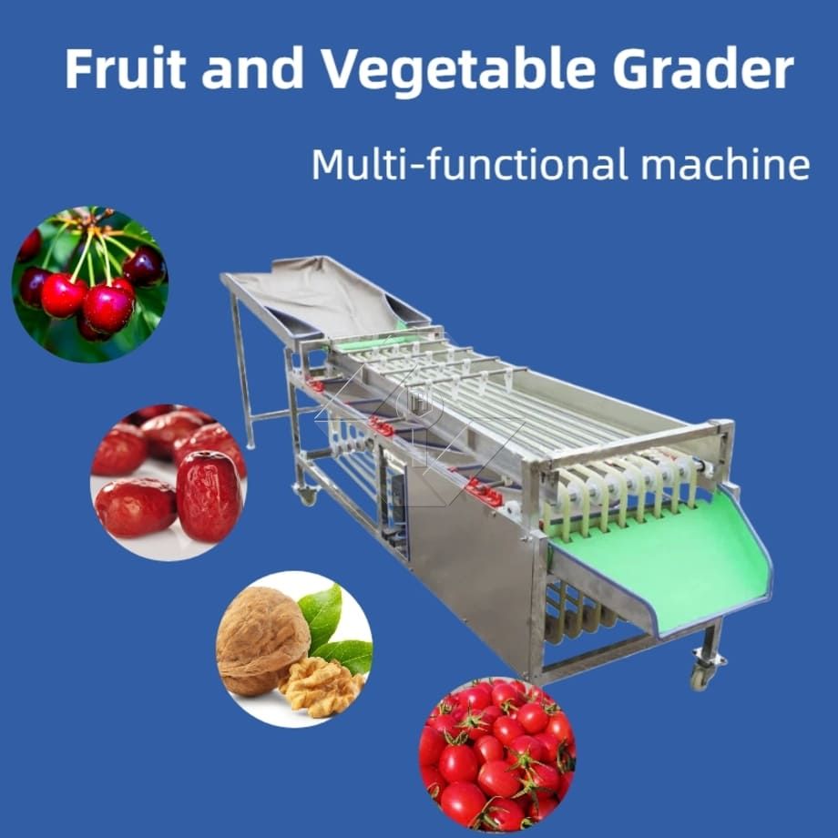 Máquina comercial automática de classificação, classificação de tomate cereja, alho, máquina classificadora de frutas