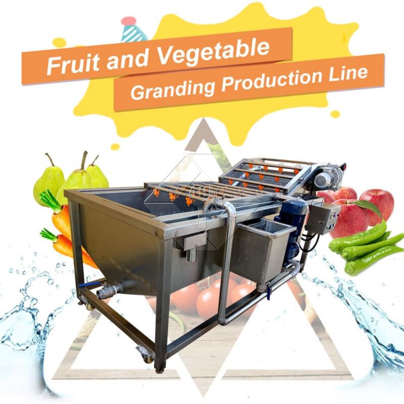 Linha de produção de salada de legumes | Planta de processamento de alface