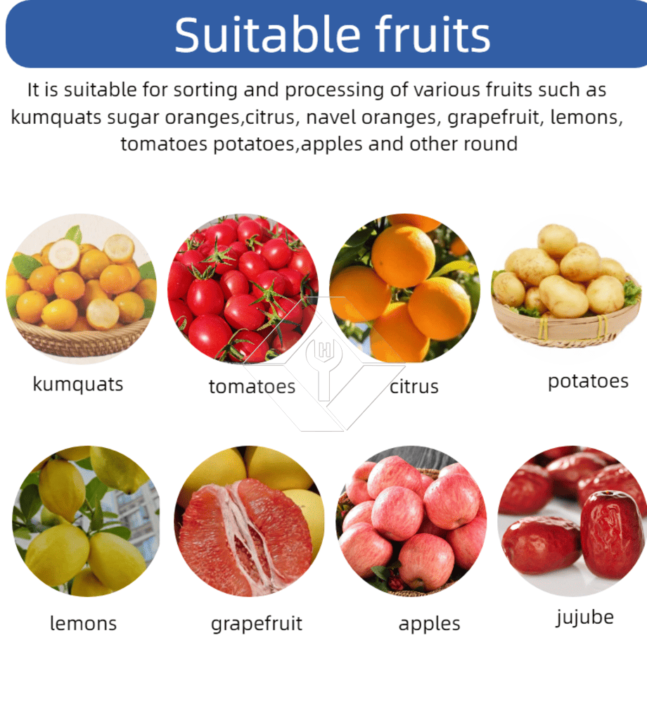 Máquina comercial automática de classificação, classificação de tomate cereja, alho, máquina classificadora de frutas