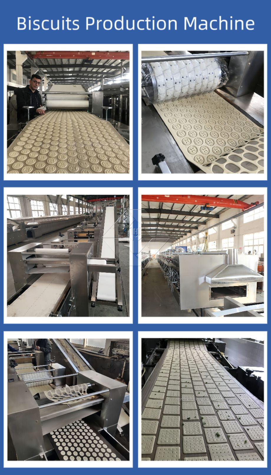 Máquina automática para fazer biscoitos | Linha de produção de biscoitos crocantes e duros | Equipamento industrial para biscoitos Máquina automática para fazer biscoitos | Linha de produção de biscoitos crocantes e duros | Equipamento industrial para biscoitos