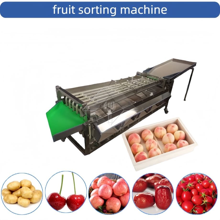 Máquina comercial automática de classificação, classificação de tomate cereja, alho, máquina classificadora de frutas