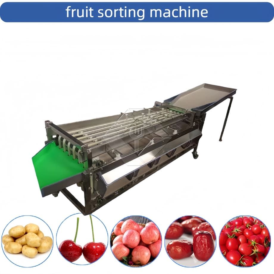 Máquina comercial automática de classificação, classificação de tomate cereja, alho, máquina classificadora de frutas Máquina comercial automática de classificação, classificação de tomate cereja, alho, máquina classificadora de frutas