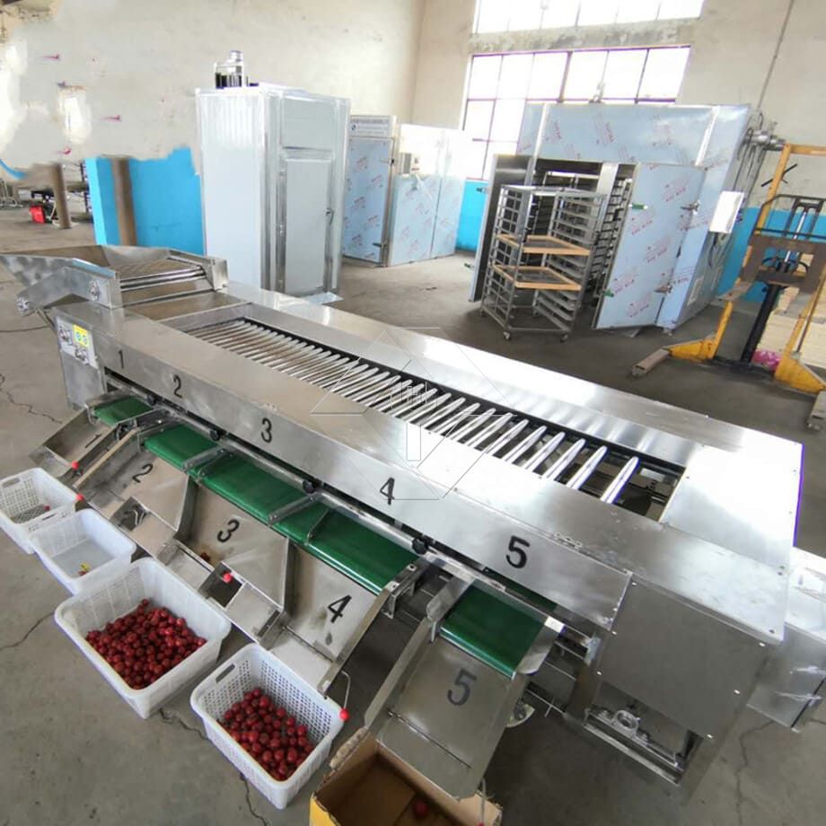 A capacidade de processamento da linha automática de lavagem, secagem e classificação de frutas e vegetais está geralmente entre 300kg/H e 3000kg/H.