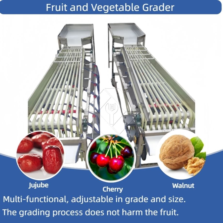 Máquina comercial automática de classificação, classificação de tomate cereja, alho, máquina classificadora de frutas