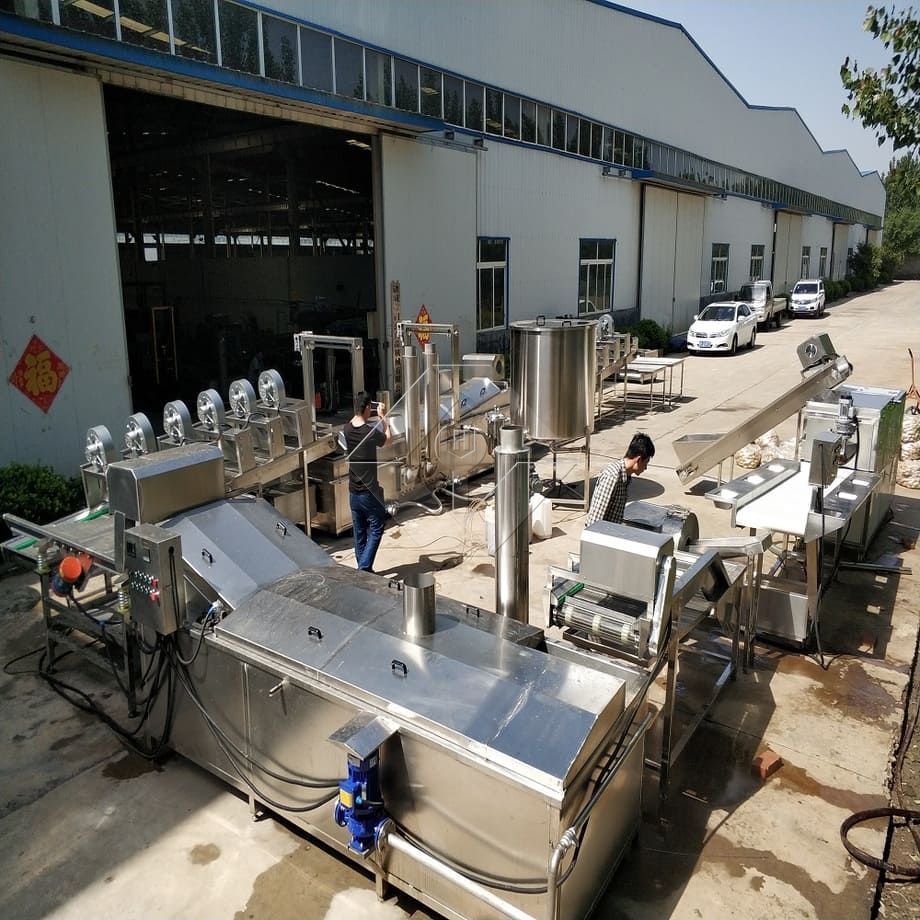 Preço de fábrica 100-1000kg Batatas fritas congeladas automáticas Batatas fritas que fazem a linha de produção da máquina para venda