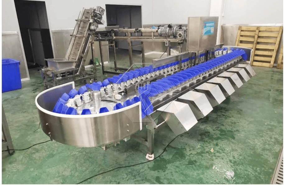 A capacidade de processamento da linha automática de lavagem, secagem e classificação de frutas e vegetais está geralmente entre 300kg/H e 3000kg/H.