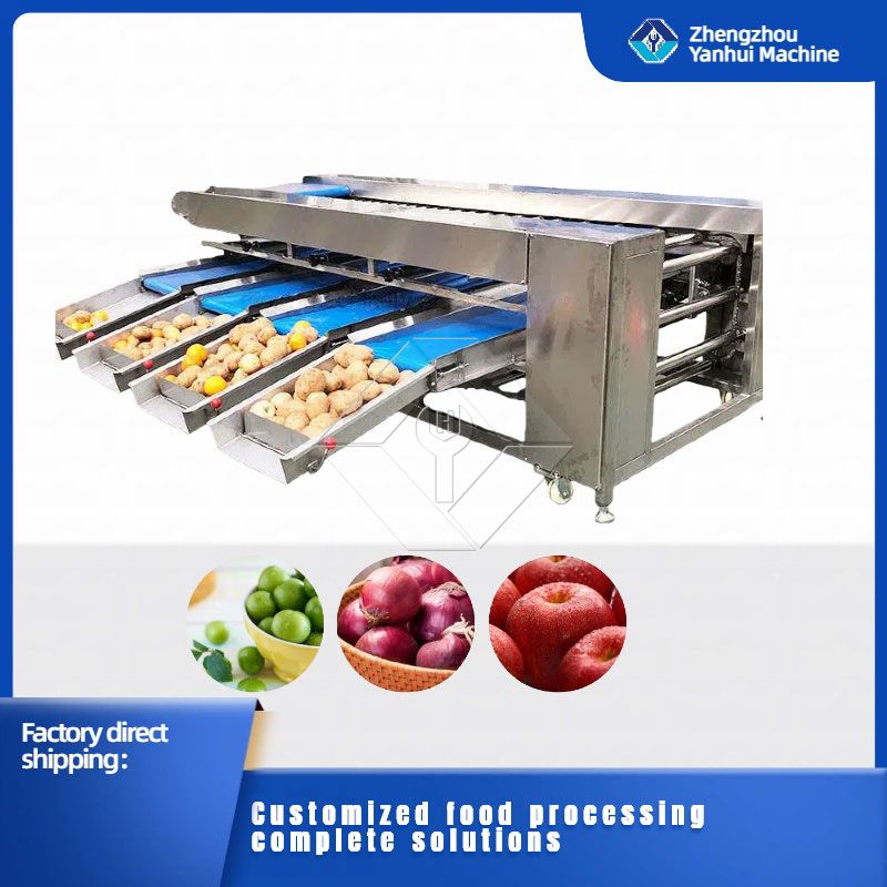 Máquina de classificação de vegetais/frutas Máquina de classificação de vegetais/frutas