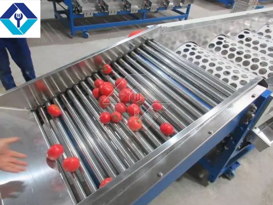 A capacidade de processamento da linha automática de lavagem, secagem e classificação de frutas e vegetais está geralmente entre 300kg/H e 3000kg/H.