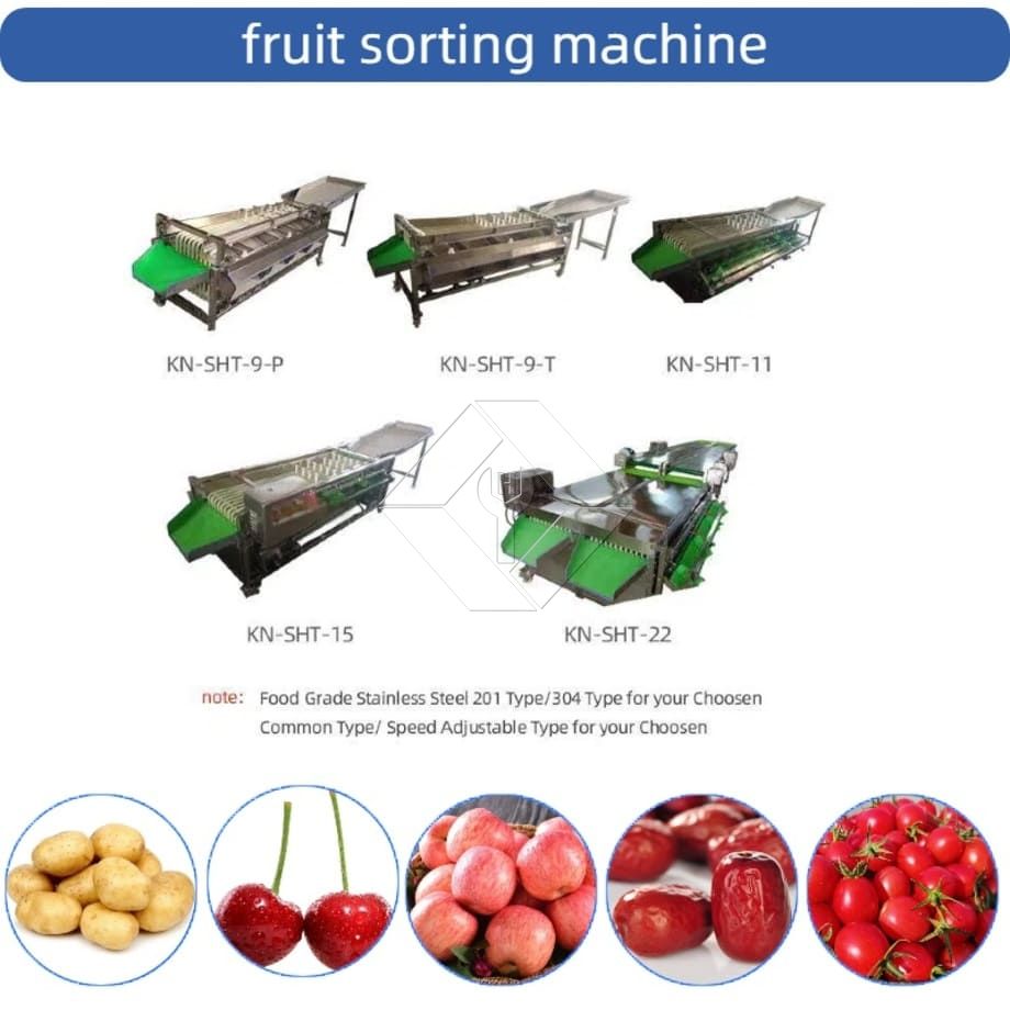 Máquina comercial automática de classificação, classificação de tomate cereja, alho, máquina classificadora de frutas Máquina comercial automática de classificação, classificação de tomate cereja, alho, máquina classificadora de frutas