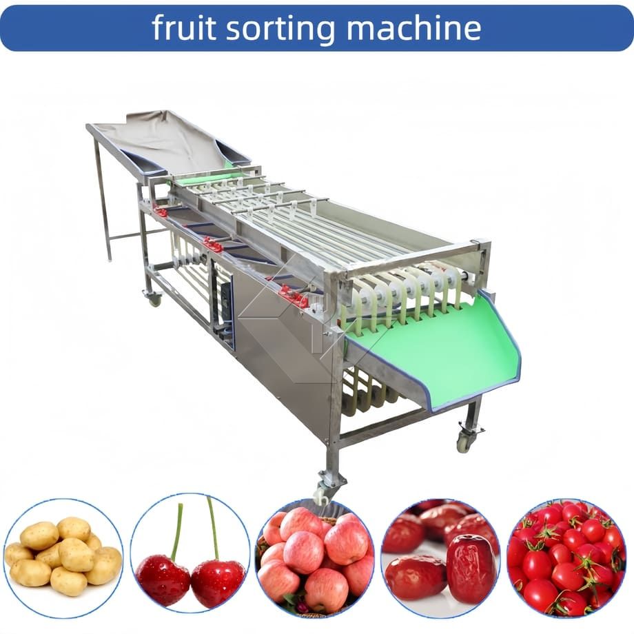 Máquina comercial automática de classificação, classificação de tomate cereja, alho, máquina classificadora de frutas