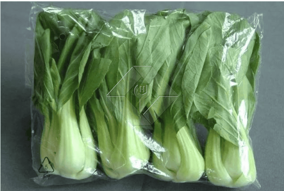 Linha de produção de salada de legumes | Planta de processamento de alface