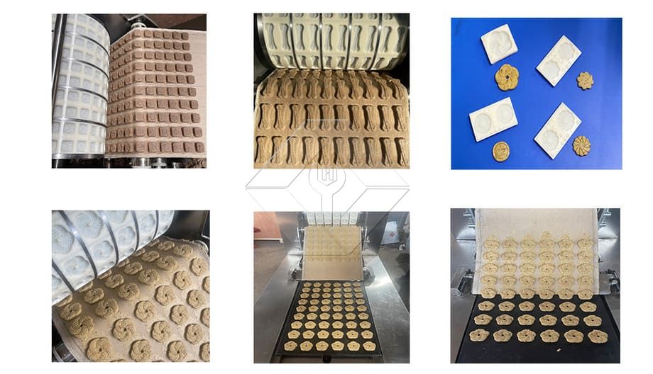 Máquina formadora de rolo de bolo de nozes, biscoitos crocantes de pêssego, Itália, máquina para fazer biscoitos de aveia, máquina formadora Máquina formadora de rolo de bolo de nozes, biscoitos crocantes de pêssego, Itália, máquina para fazer biscoitos de aveia, máquina formadora
