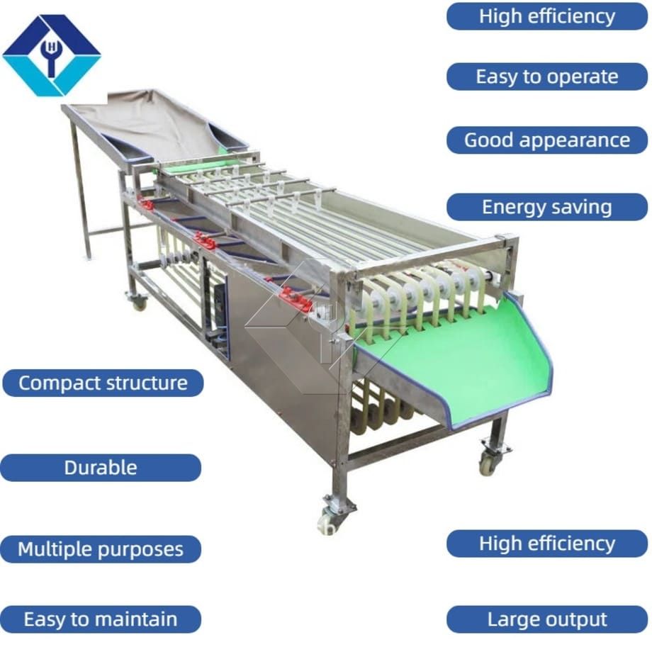Máquina comercial automática de classificação, classificação de tomate cereja, alho, máquina classificadora de frutas Máquina comercial automática de classificação, classificação de tomate cereja, alho, máquina classificadora de frutas