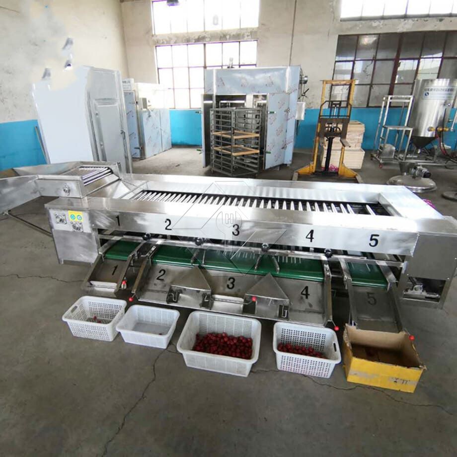 A capacidade de processamento da linha automática de lavagem, secagem e classificação de frutas e vegetais está geralmente entre 300kg/H e 3000kg/H.