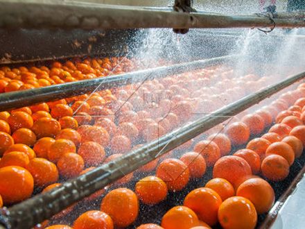 A capacidade de processamento da linha automática de lavagem, secagem e classificação de frutas e vegetais está geralmente entre 300kg/H e 3000kg/H.