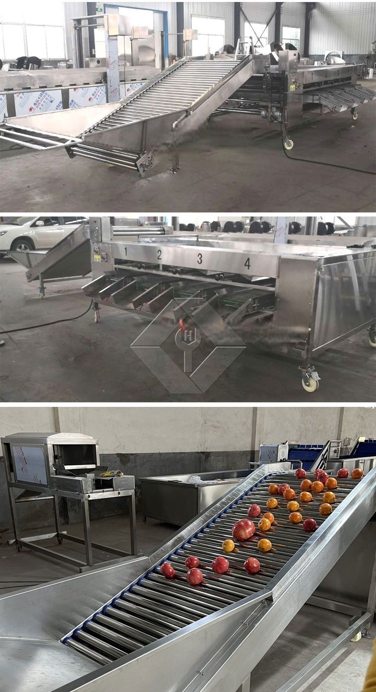 Máquina de classificação de vegetais/frutas Máquina de classificação de vegetais/frutas