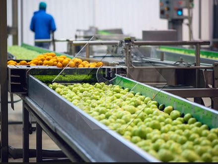 A capacidade de processamento da linha automática de lavagem, secagem e classificação de frutas e vegetais está geralmente entre 300kg/H e 3000kg/H.