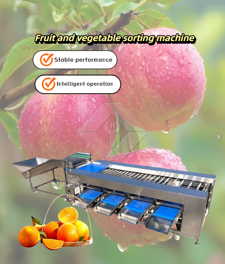 Máquina de classificação de vegetais/frutas Máquina de classificação de vegetais/frutas