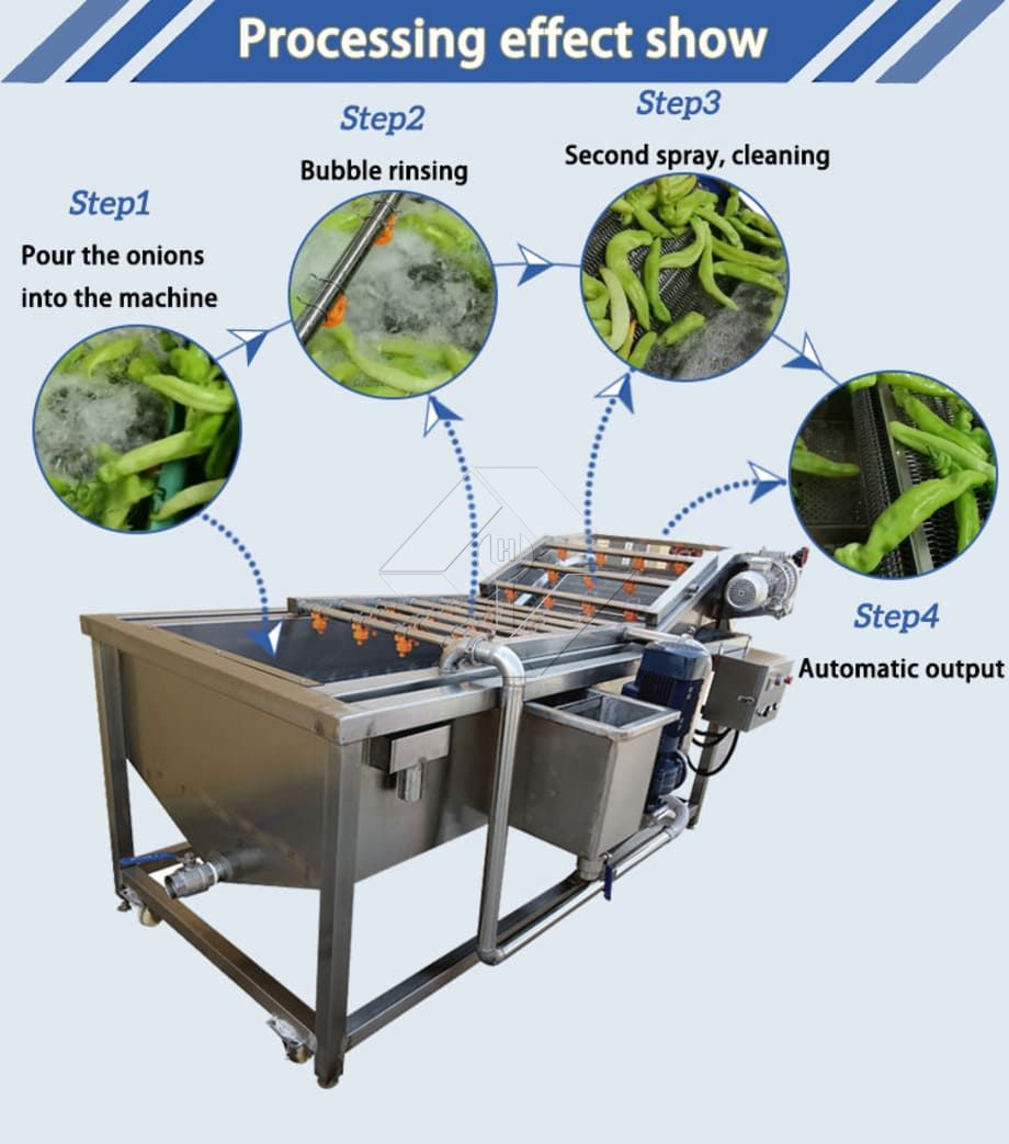 Transportador lavador de frutas e vegetais | Máquina de lavar bolhas para limpeza eficiente de produtos