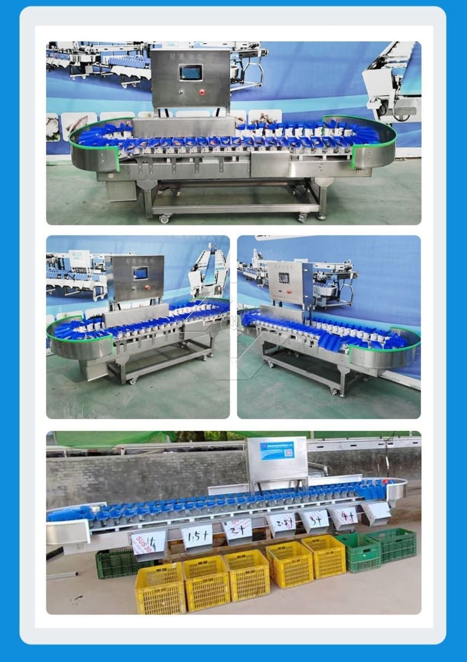 A capacidade de processamento da linha automática de lavagem, secagem e classificação de frutas e vegetais está geralmente entre 300kg/H e 3000kg/H.