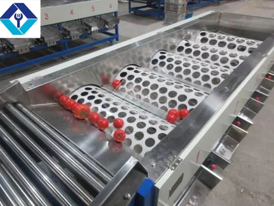 A capacidade de processamento da linha automática de lavagem, secagem e classificação de frutas e vegetais está geralmente entre 300kg/H e 3000kg/H.